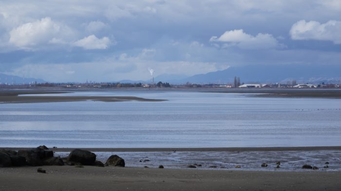 View from Crescent Beach