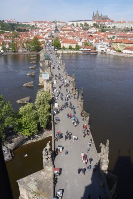 Charles Bridge from the east tower