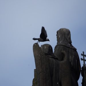 Jackdaw taking off from a statue