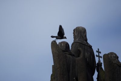 Jackdaw taking off from a statue