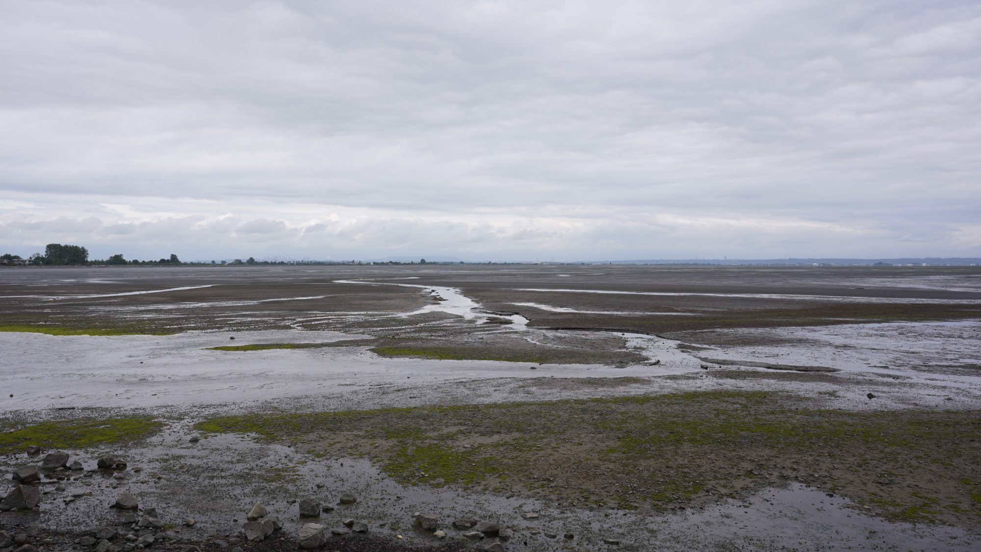 Grey sandy beach under grey skies