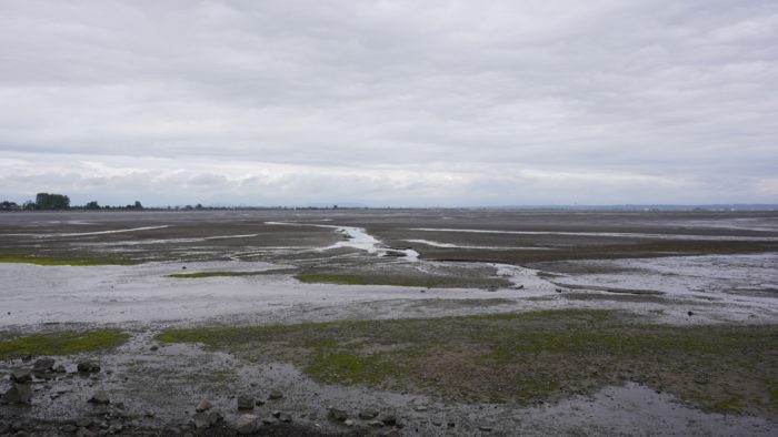 Grey sandy beach under grey skies
