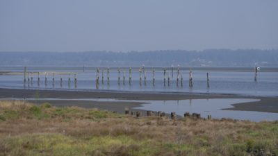 A row of pilings next to a pebbly beach. The air is a bit hazy and the sky a bit bluish-grey from the smoke