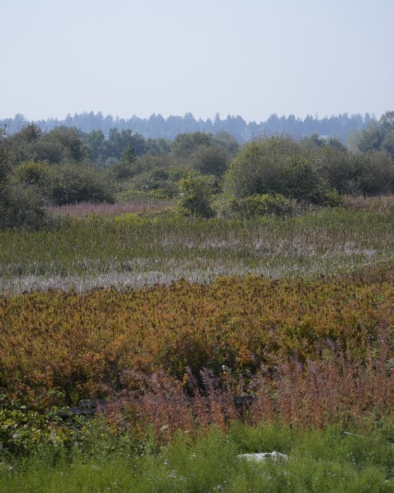 Different colours and looks of the landscape, looking like horizontal layers, under a dusty blue sky