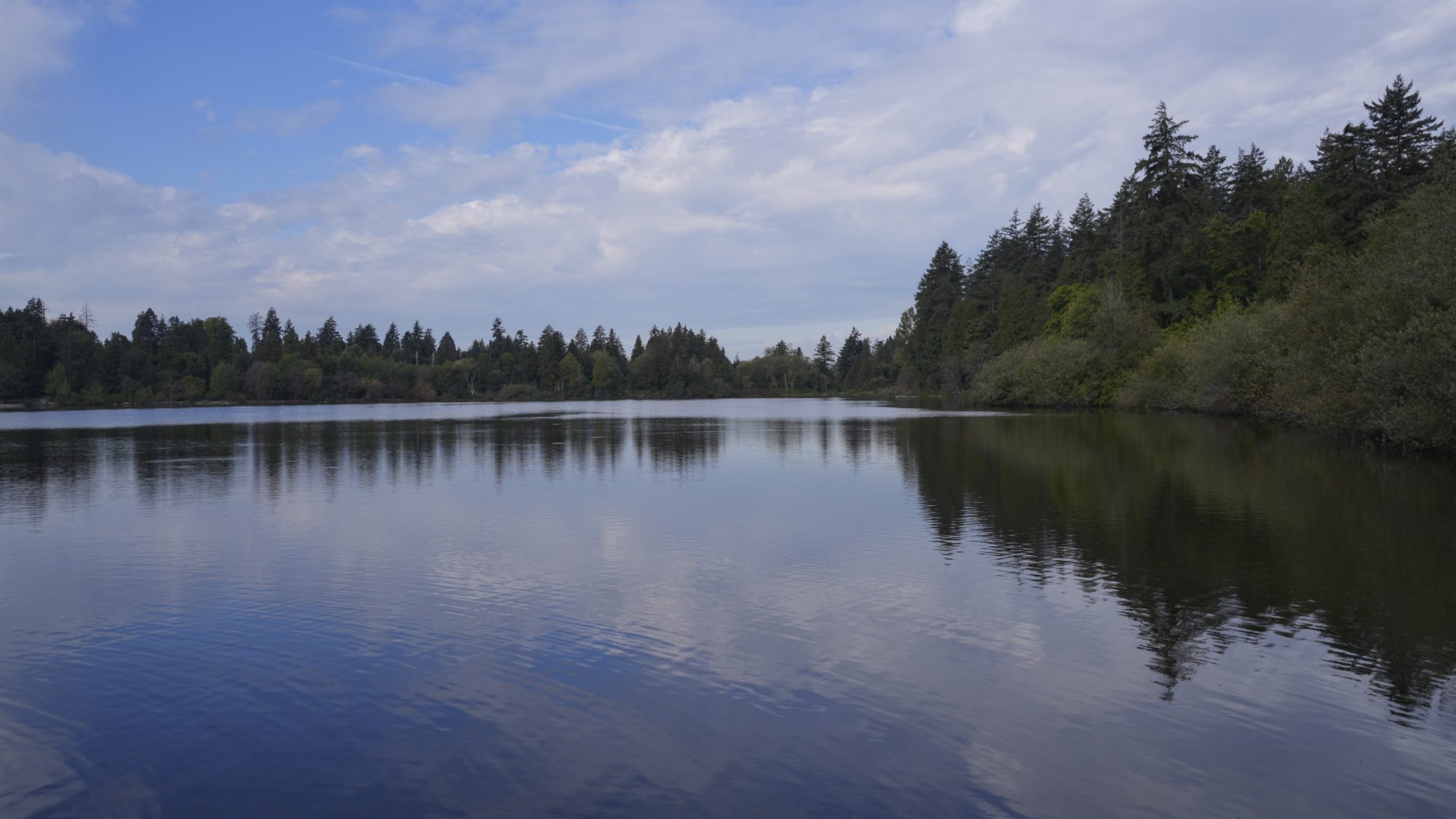 A wide shot of Lost Lagoon, surrounded by green trees. The smooth water reflects blue sky and white clouds