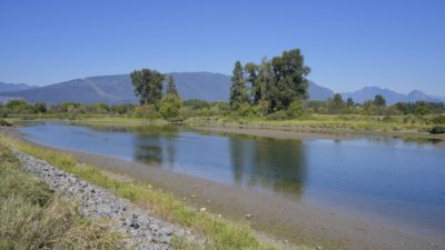 A shallower stretch of the Alouette River. The water is shallow and calm