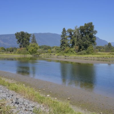 A shallower stretch of the Alouette River. The water is shallow and calm