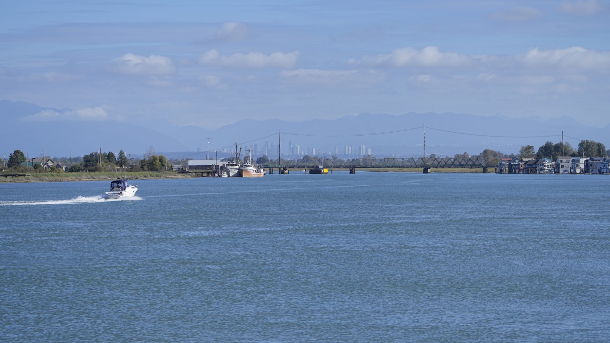 View north from Brunswick Point trail: Westham Island, the bridge, and Richmond (I think) in the distance