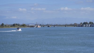View north from Brunswick Point trail: Westham Island, the bridge, and Richmond (I think) in the distance