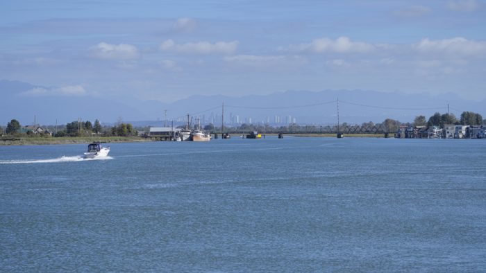 View north from Brunswick Point trail: Westham Island, the bridge, and Richmond (I think) in the distance