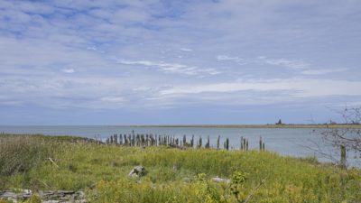 View from the Brunswick Point trail: green grasses, calm water under a mostly blue sky