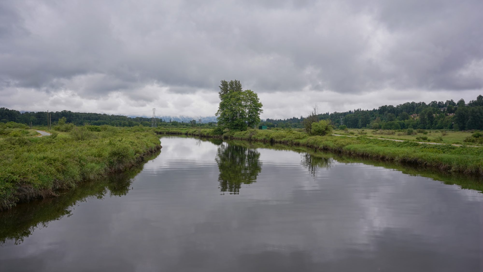 Coquitlam River under an overcast sky