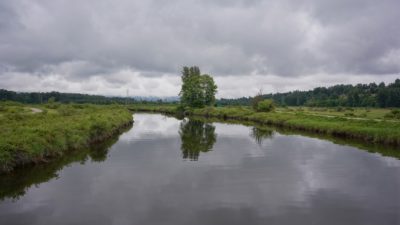 Coquitlam River under an overcast sky