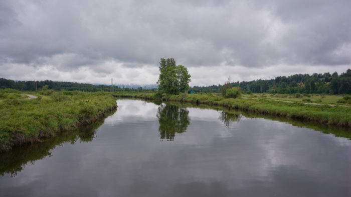 Coquitlam River under an overcast sky