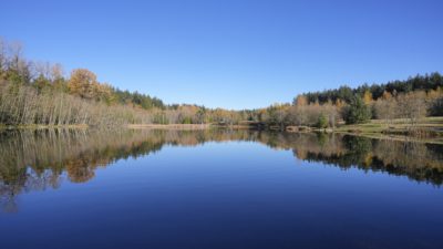 A lake with very still waters, perfectly reflecting the solid blue sky