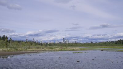 A wide-angle shot of Burnaby Lake, a shallow lake surrounded by reeds and trees. In the distance is a cluster of towers The sky is a bit cloudy