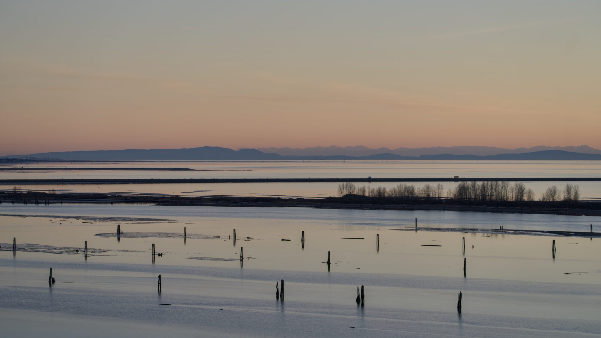 View of the Iona Beach north jetty from SW Marine, plus a bunch of pilings closer up. It is the end of the day