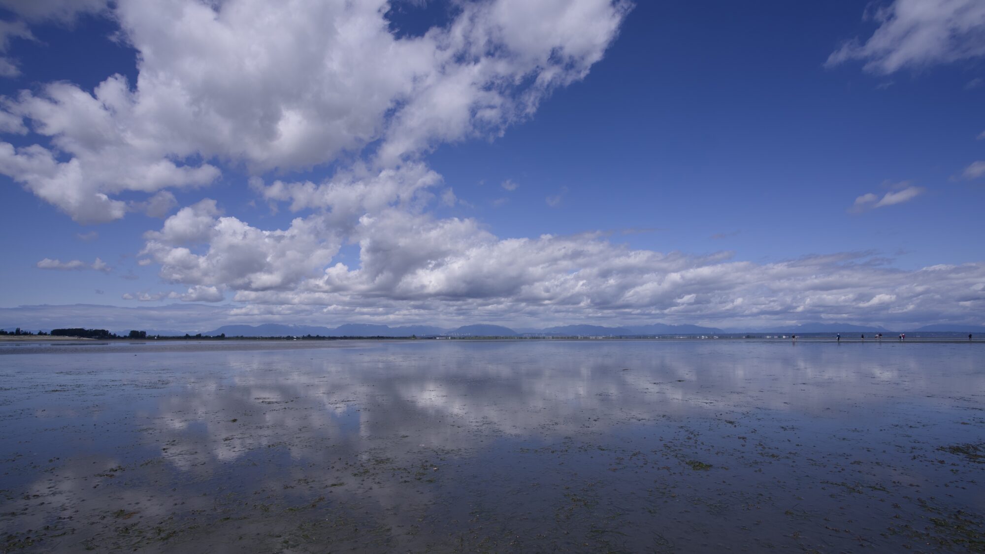 A view from Centennial Beach: almost unbroken water, cleanly reflecting a cloud-dappled blue sky