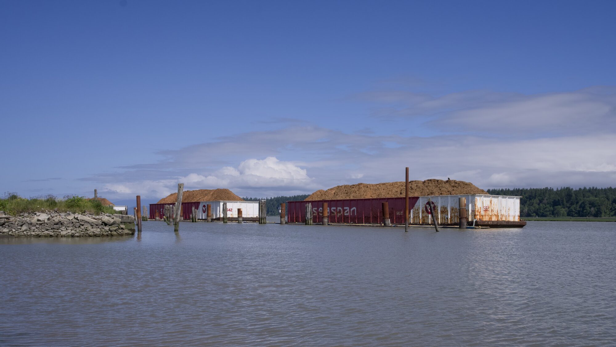 A couple of large barges filled with wood chips