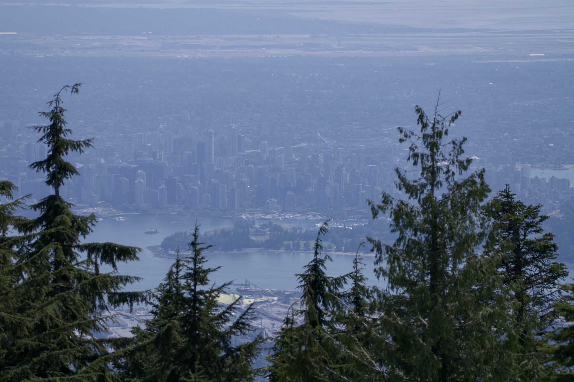 View of downtown Vancouver from the top of Grouse Mountain. It is hazy with distance, and partly hidden behind trees. But we can see part of Stanley Park and a bunch of tall towers