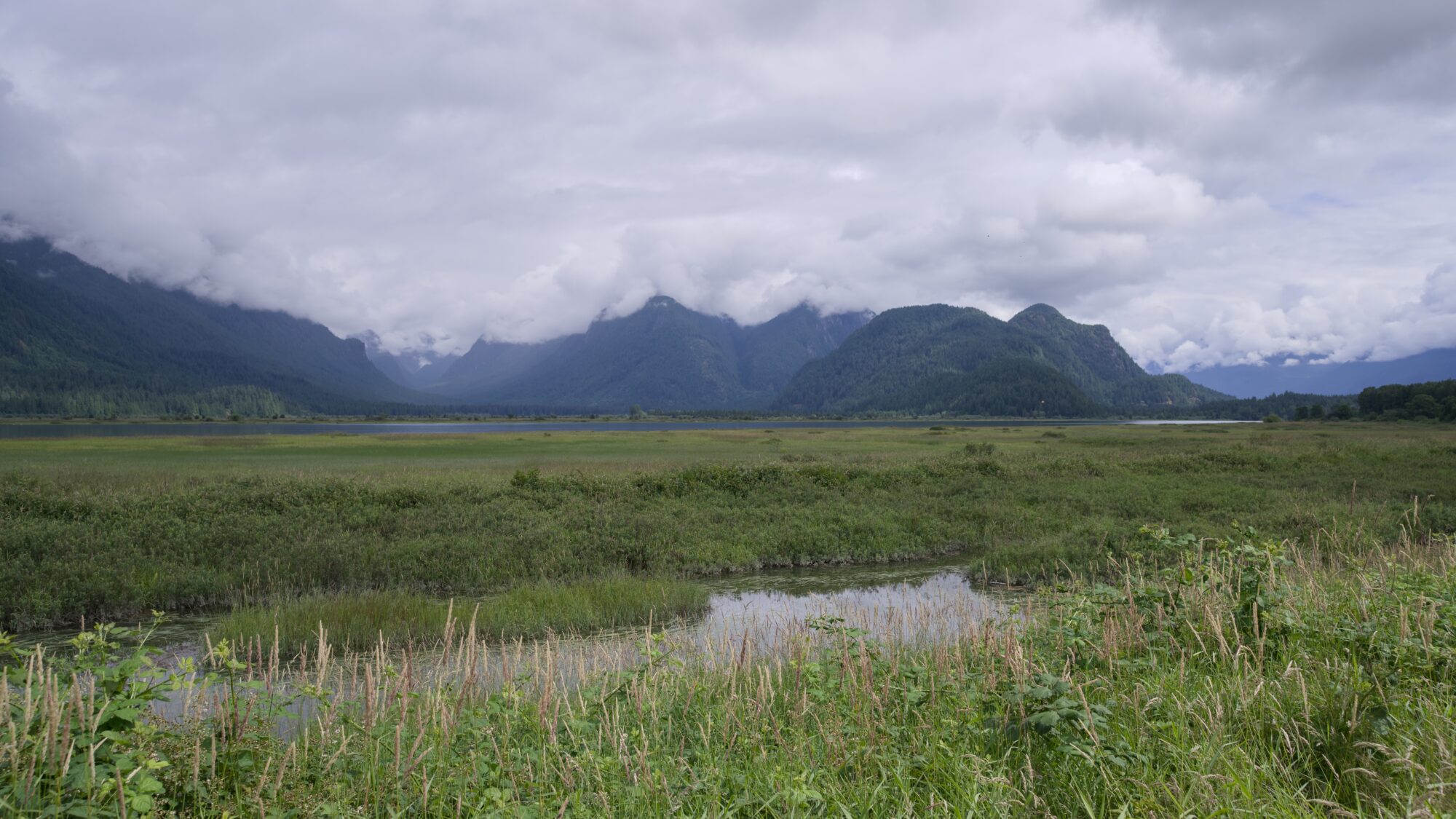 A little creek / slough in the foreground, lots of flat greenery in the background, and mountains behind all that. The sky is overcast, hiding some of the tops of the mountains