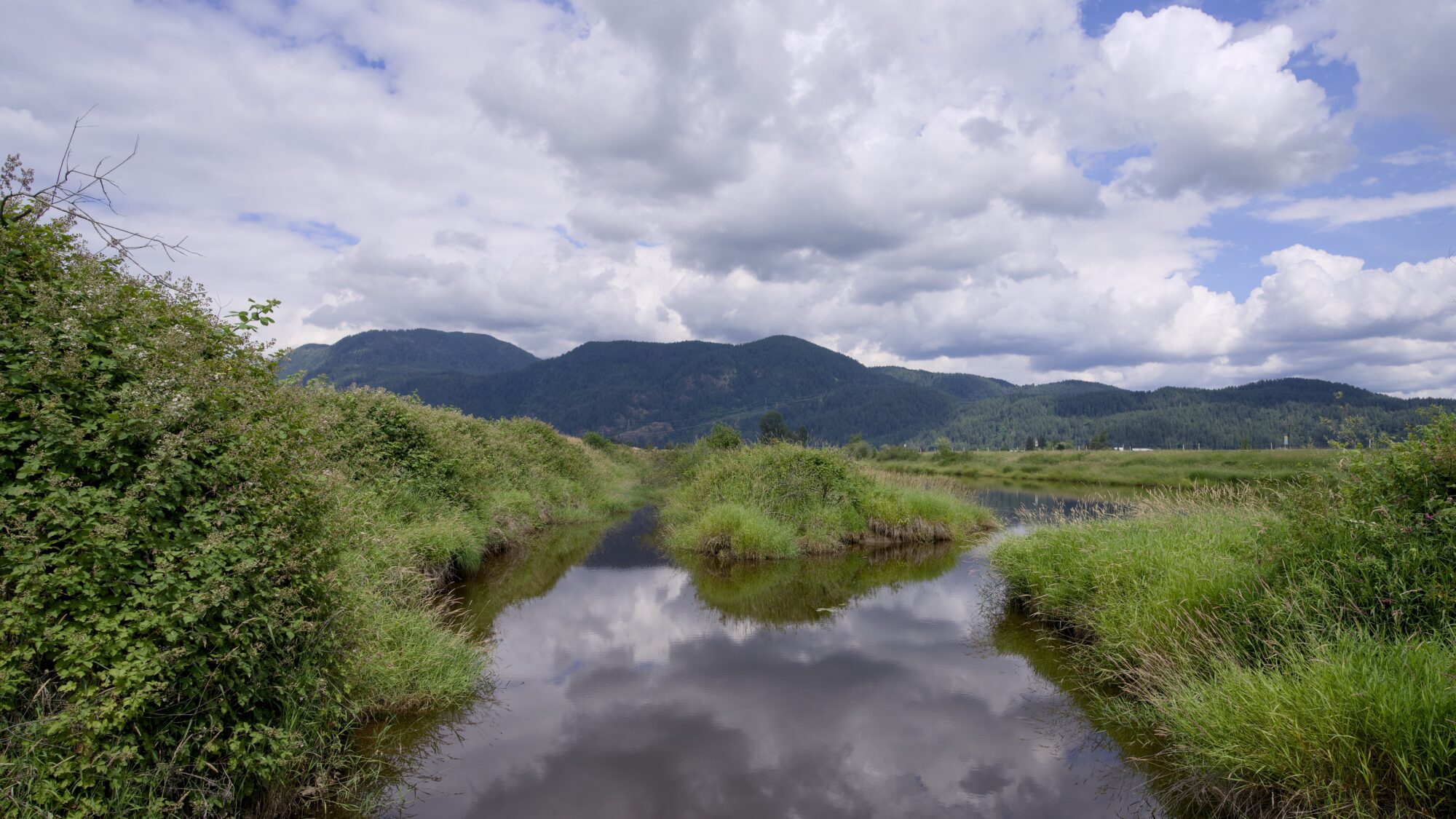 A little slough surrounded by green, under a partly cloudy sky