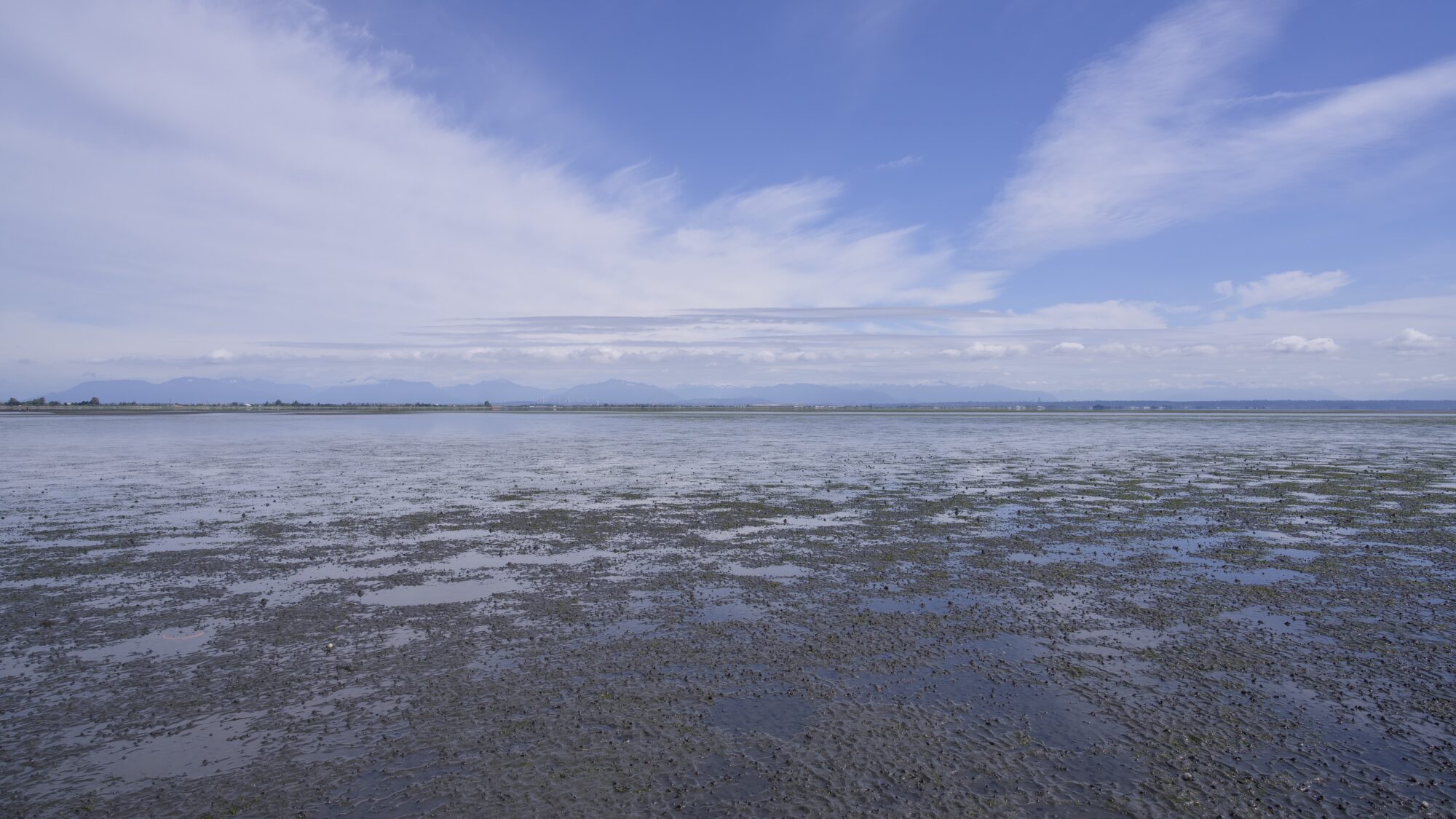 A very flat sandy beach under wispy clouds