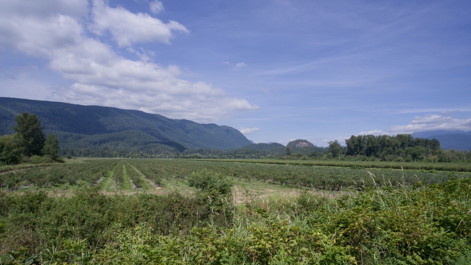 Farm fields and mountains in the background, under a mostly blue sky