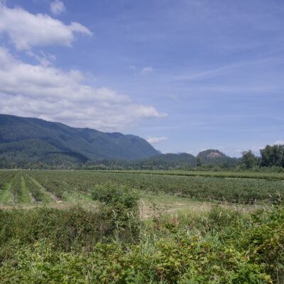 Farm fields and mountains in the background, under a mostly blue sky