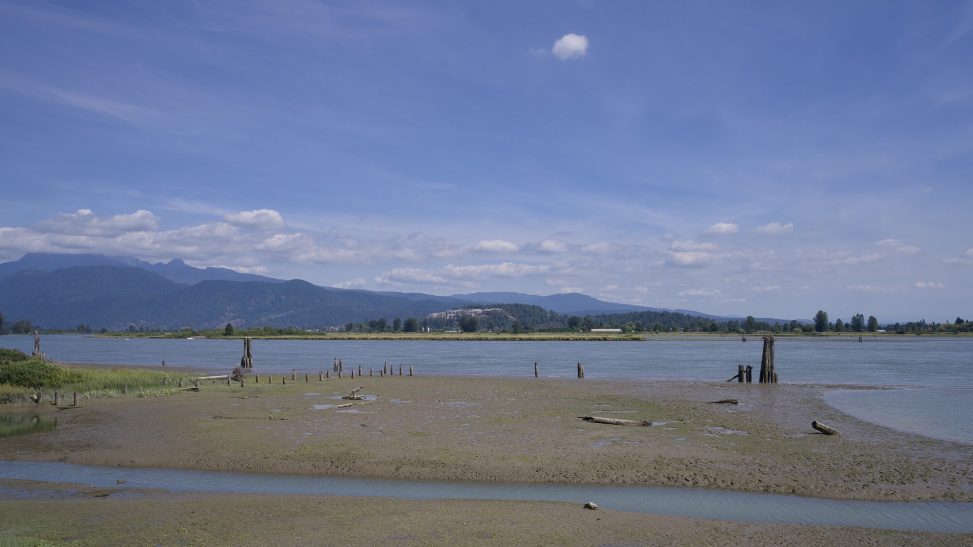 Pitt River from a bit above water level, with a rough beach in the foreground and a couple pilings in the water