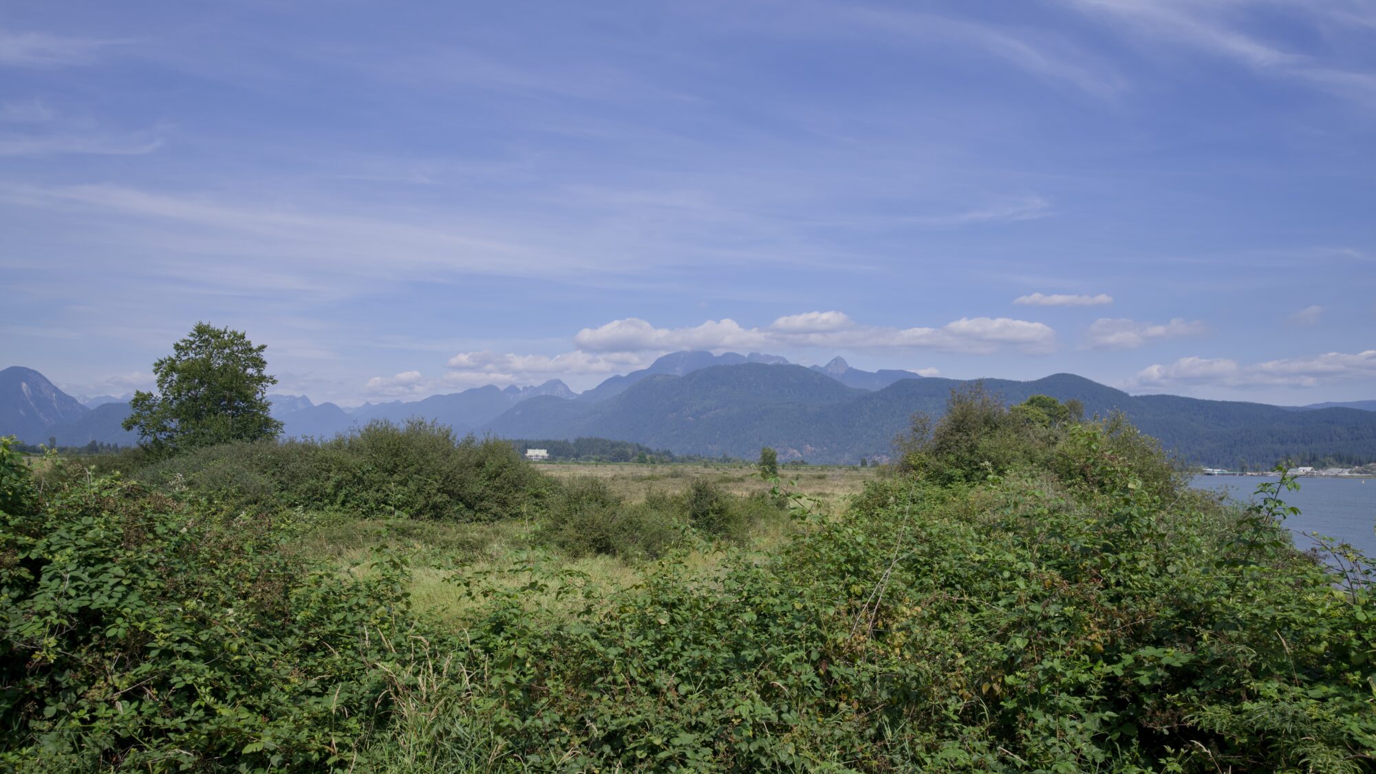 Trees and bushes, and faraway low mountains, under a mostly blue sky
