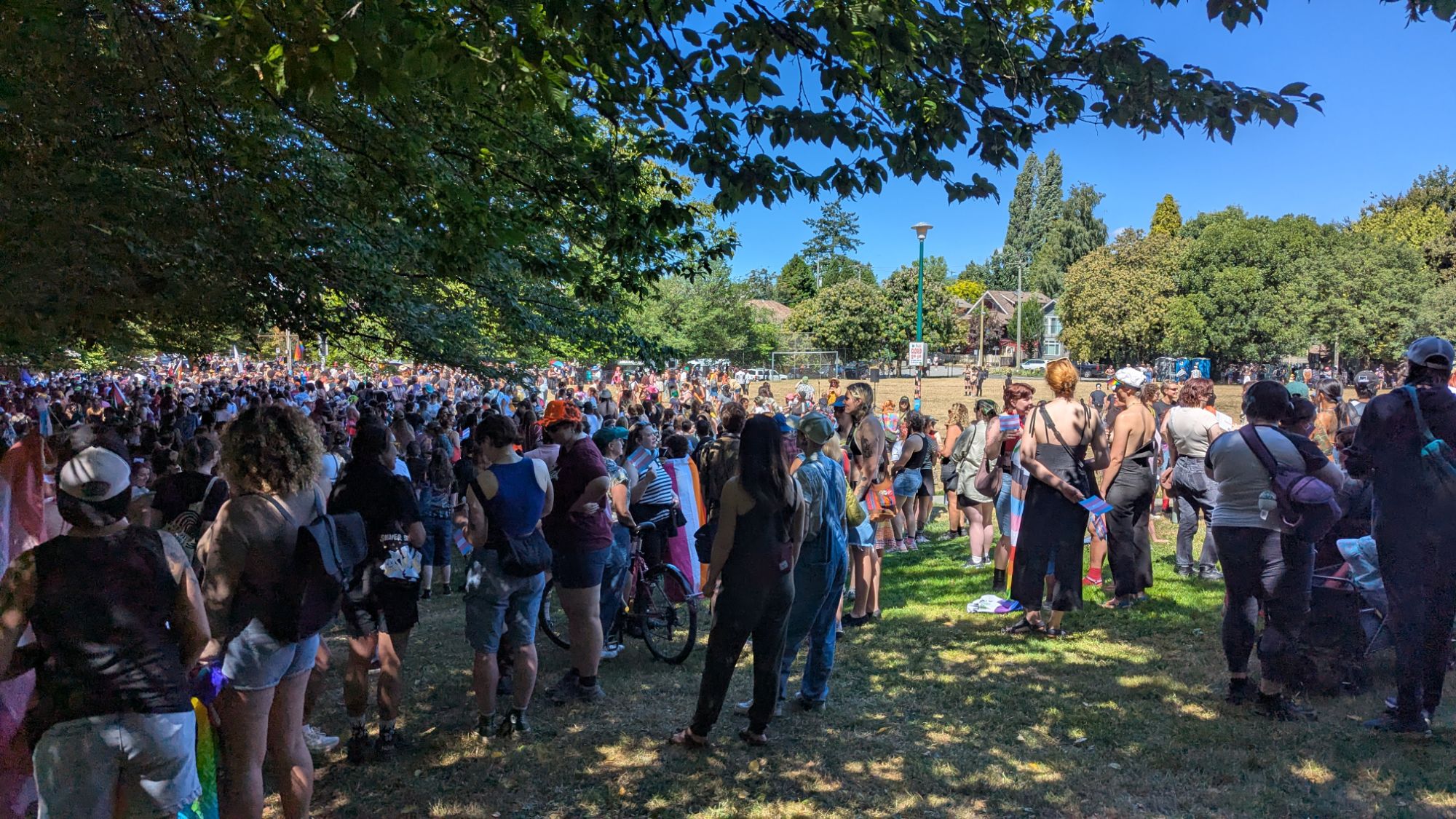A whole bunch of queers in the park