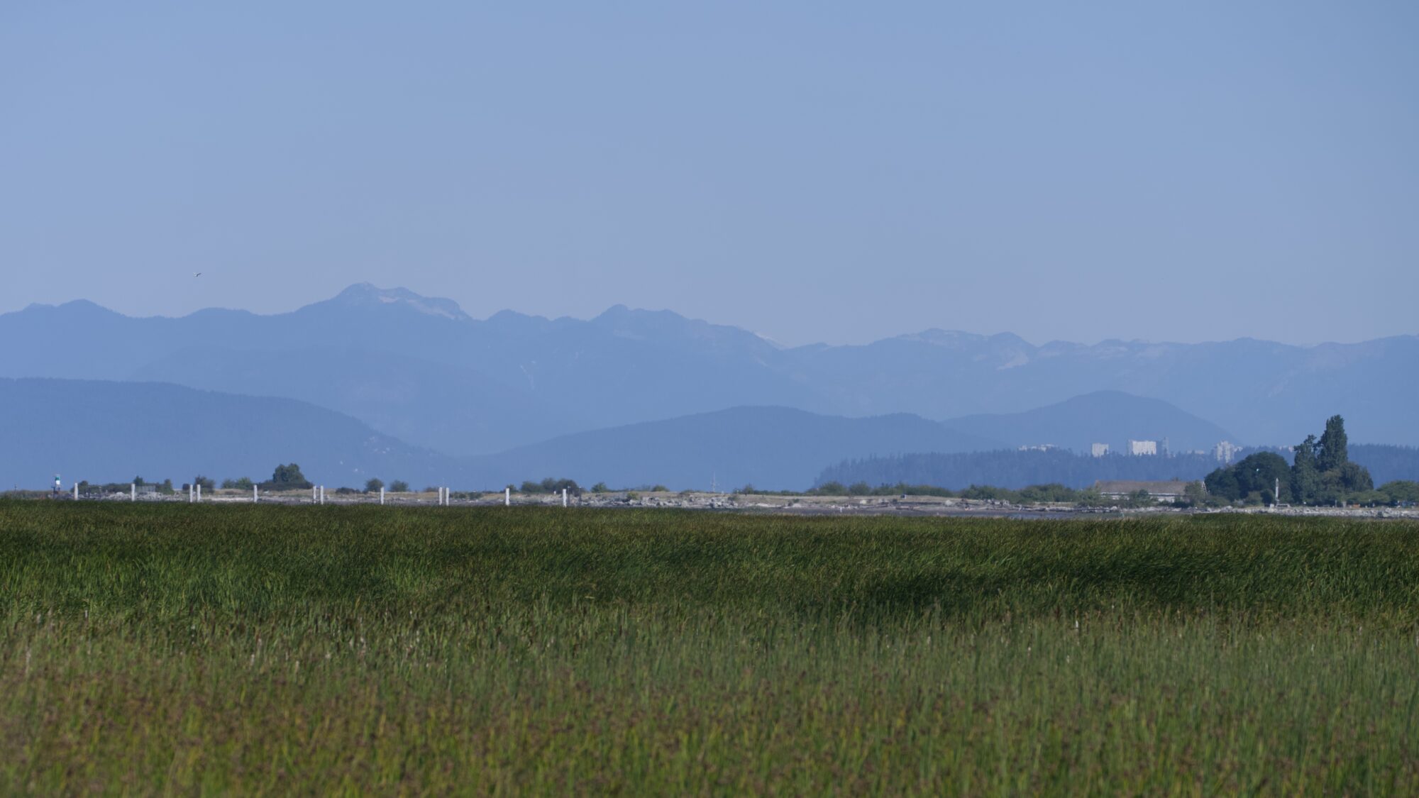 View north from the Reifel western dyke: marshes, fences and a few houses, and hazy mountains behind that