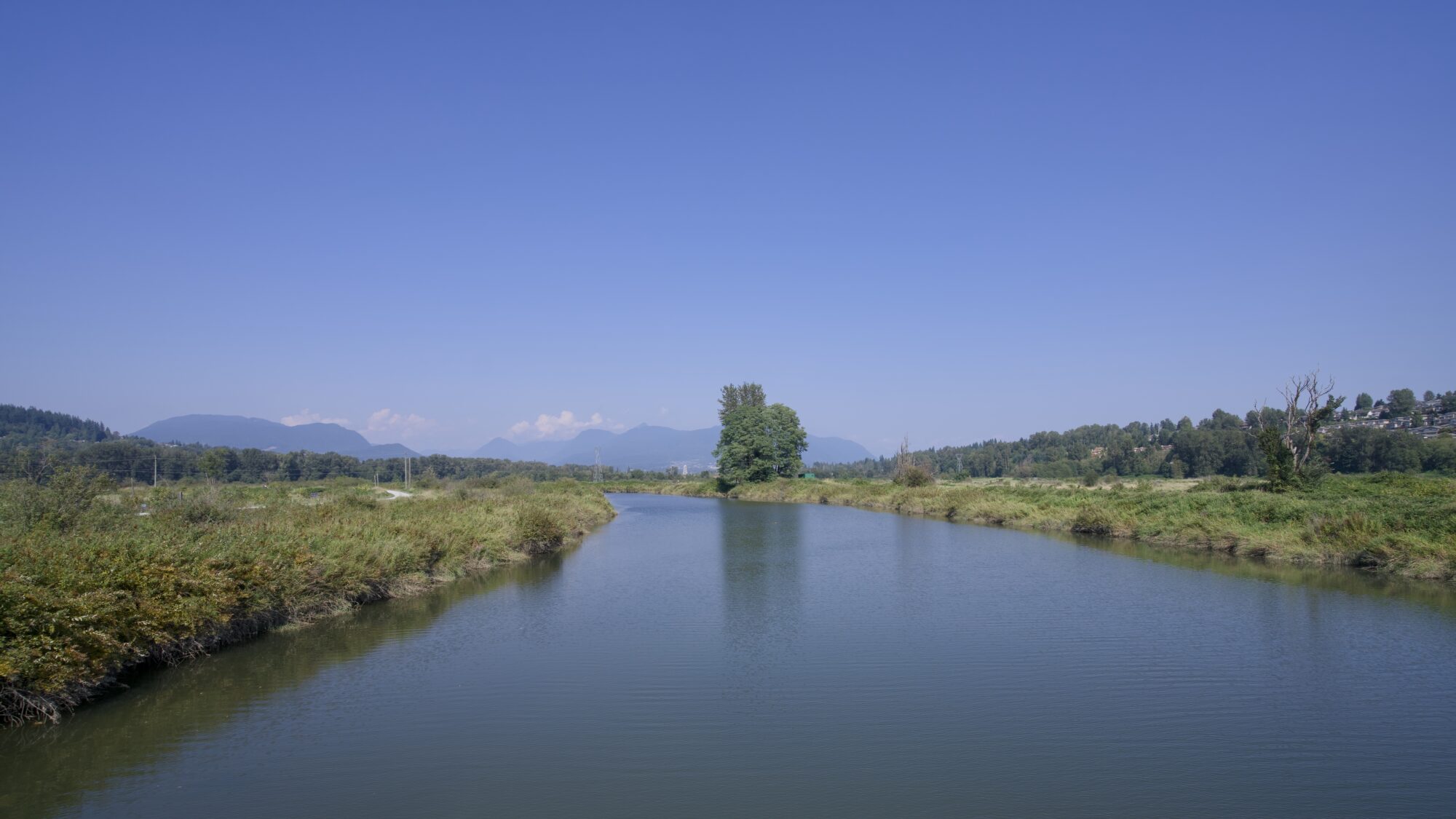 Coquitlam River seen from the bridge, under a solid blue sky