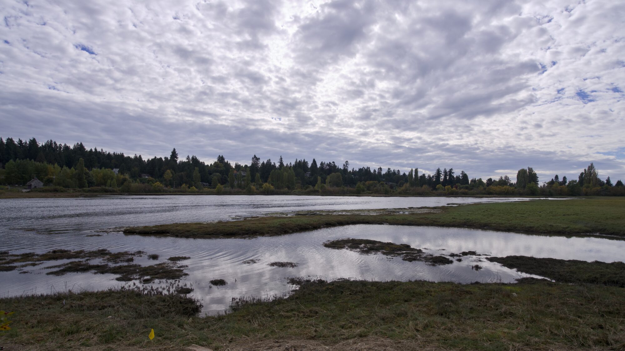 A little muddy bay under partly cloudy skies, shooting somewhat into the light.