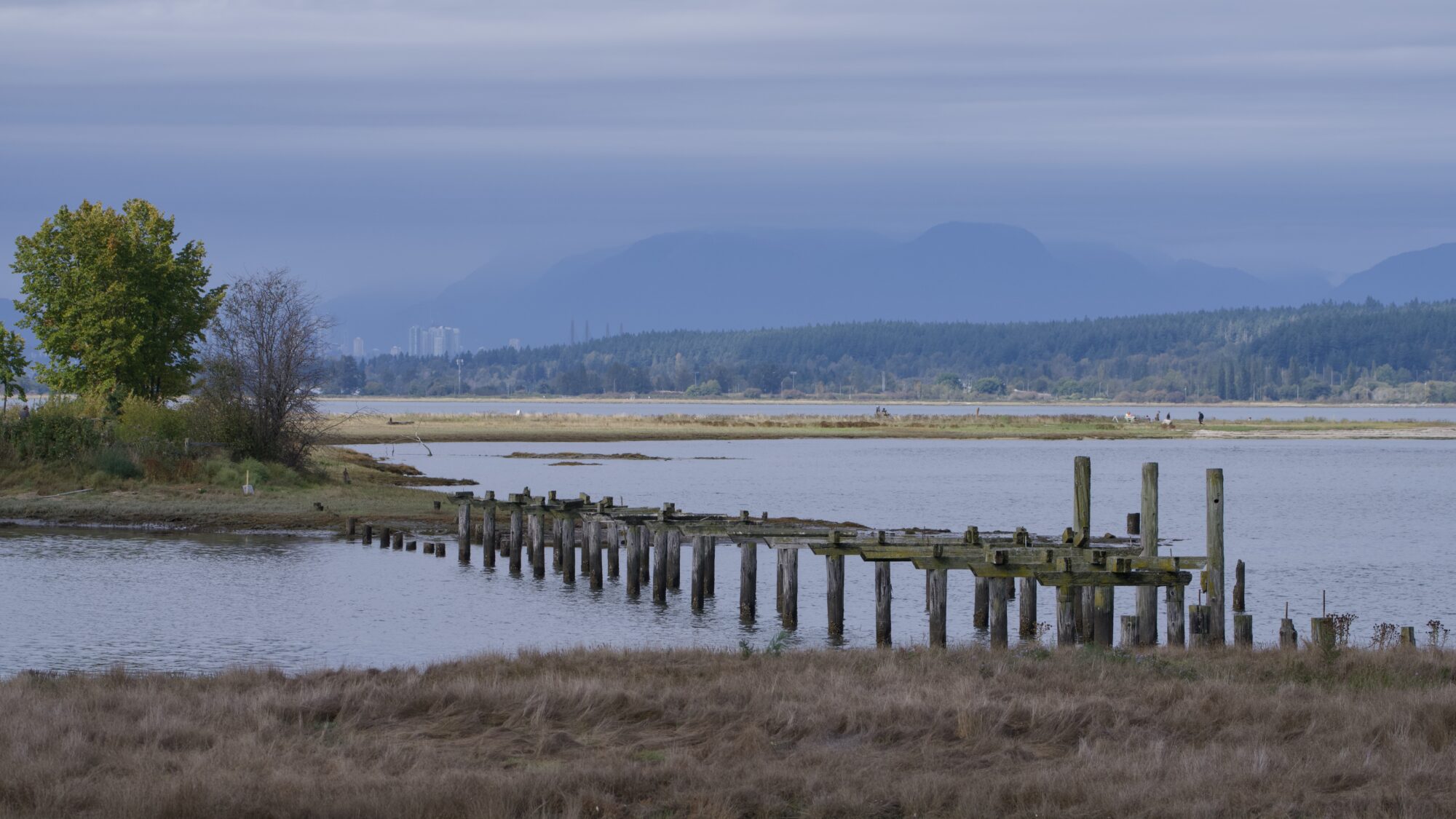 The remains of a boardwalk across a bay. Light is a bit dim and overcast