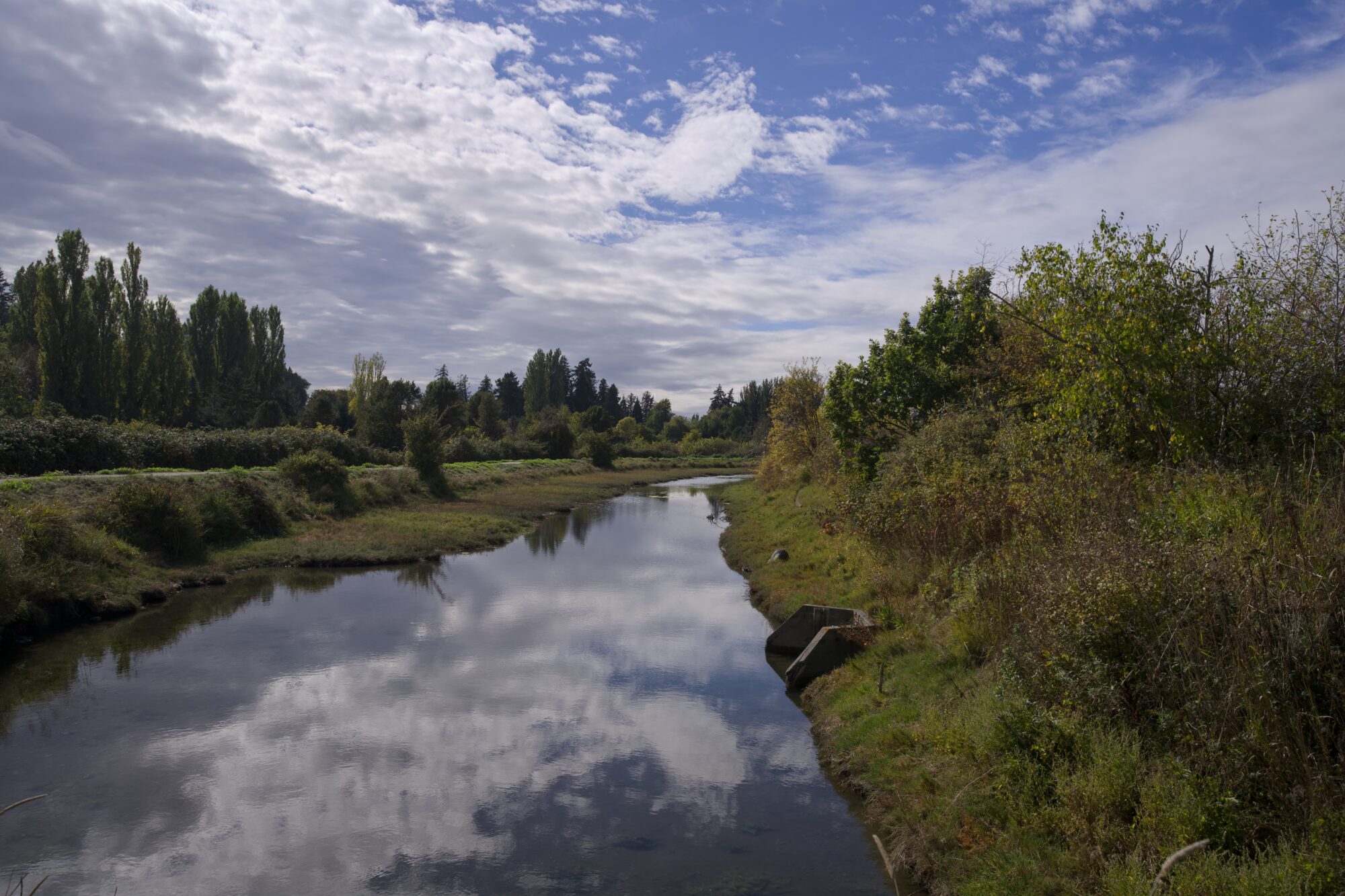 A half-cloudy sky, nicely reflected in a little slough