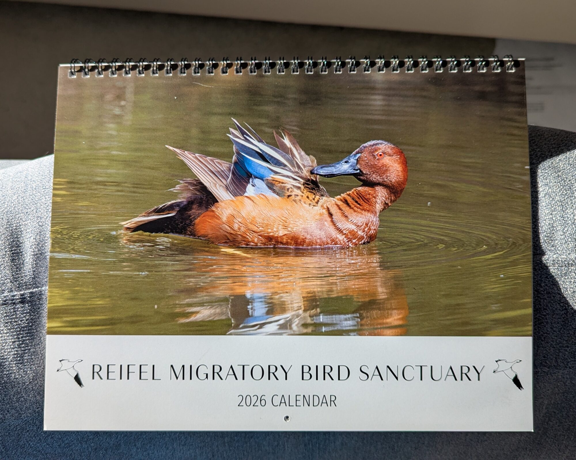 Cover of the Reifel Migratory Bird Sanctuary 2026 calendar, showing a male Cinnamon Teal