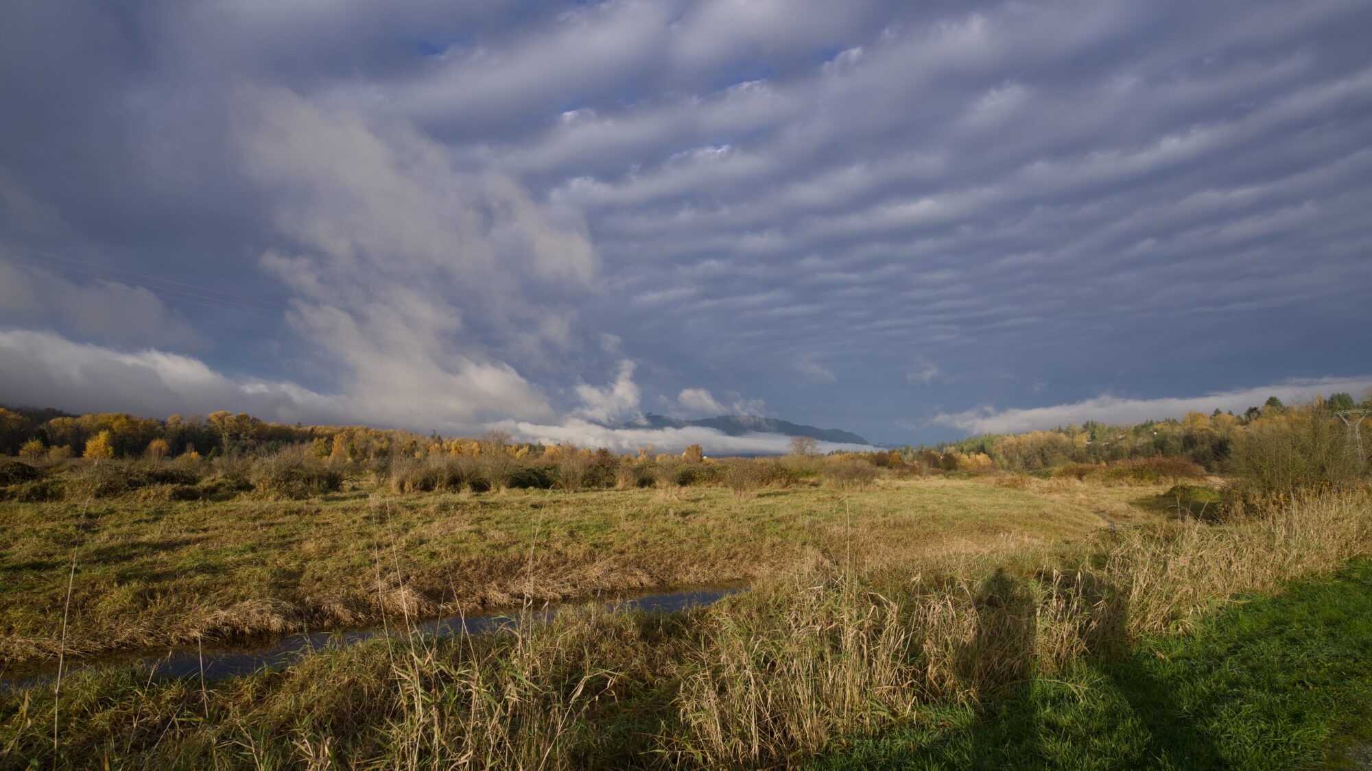 Shooting away from the sunset. The grasses and trees are tinged a little gold, as are the wispy clouds. Two human shadows are just visible in the lower right