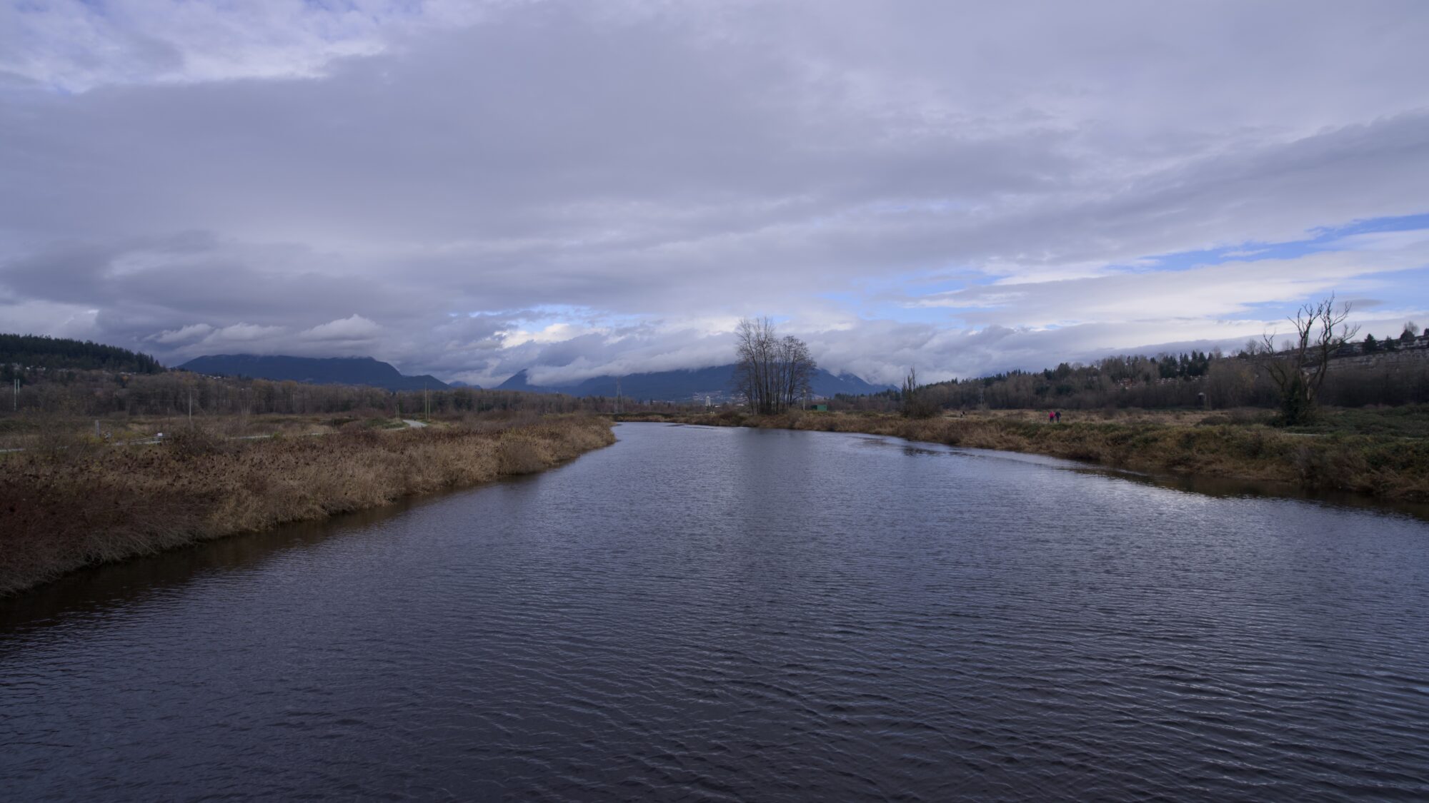 Coquitlam River from the bridge. The banks are brown, and the sky is grey