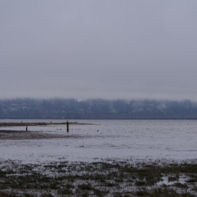 A ragged, muddy shoreline, and in the background, blueish trees and suburban developments under very low clouds