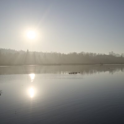 View West from the end of Piper Spit. The sun is very low in the sky, reflected in the still water. There is also