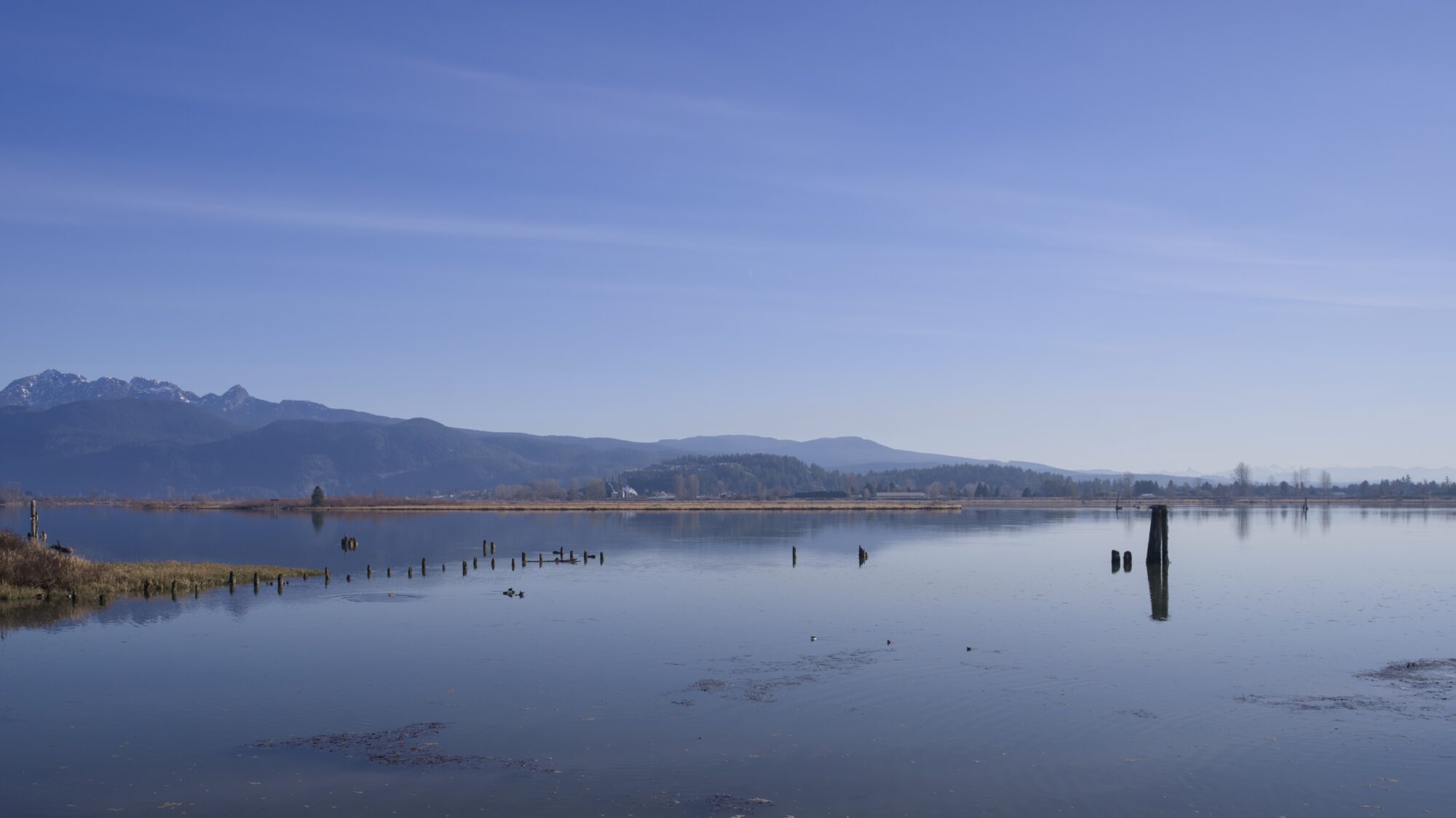 Pitt River, with some mountains in the background and pilings closer up