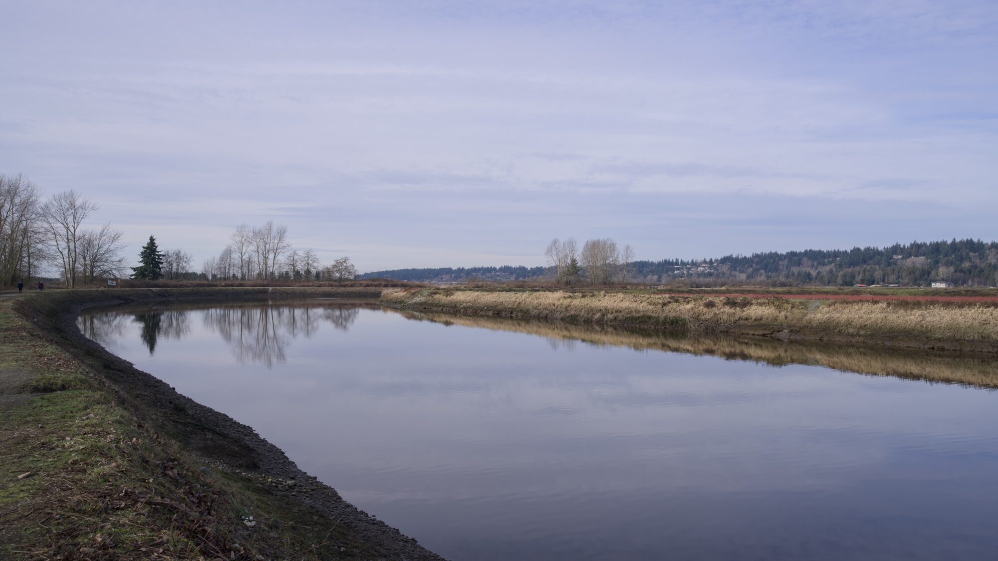 A view of Serpentine River from near the parking lot. It curves away from us, there are dry yellow reeds on the opposite shore, and the water is smooth, reflecting the wispy clouds and soft blue sky