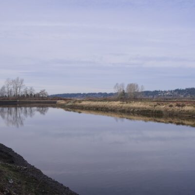 A view of Serpentine River from near the parking lot. It curves away from us, there are dry yellow reeds on the opposite shore, and the water is smooth, reflecting the wispy clouds and soft blue sky