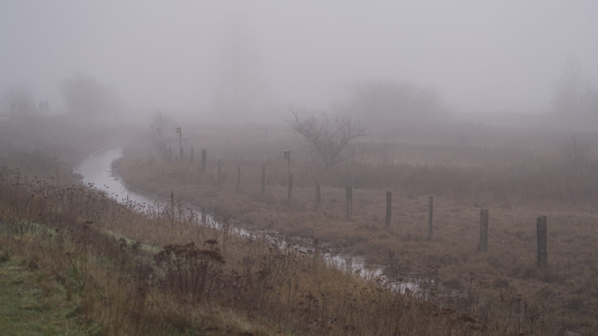 A very foggy landscape complete with brown vegetation, a little canal / creek lined by a small fence