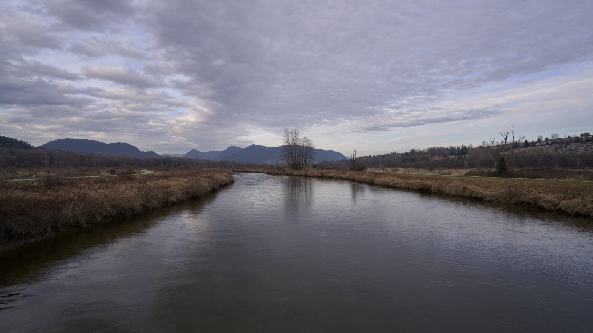 Coquitlam River under a grey sky, reflecting the grey