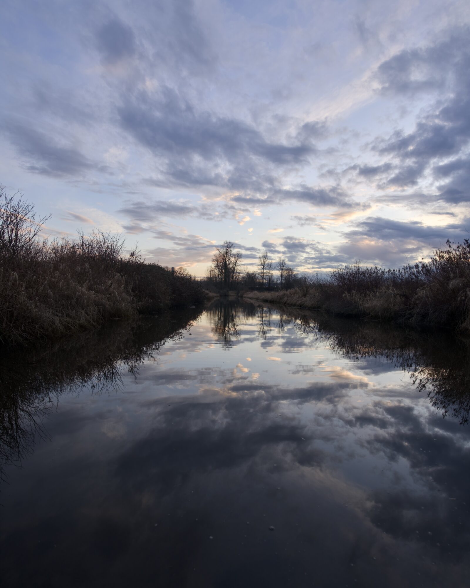 A creek at sunset, under wispy clouds