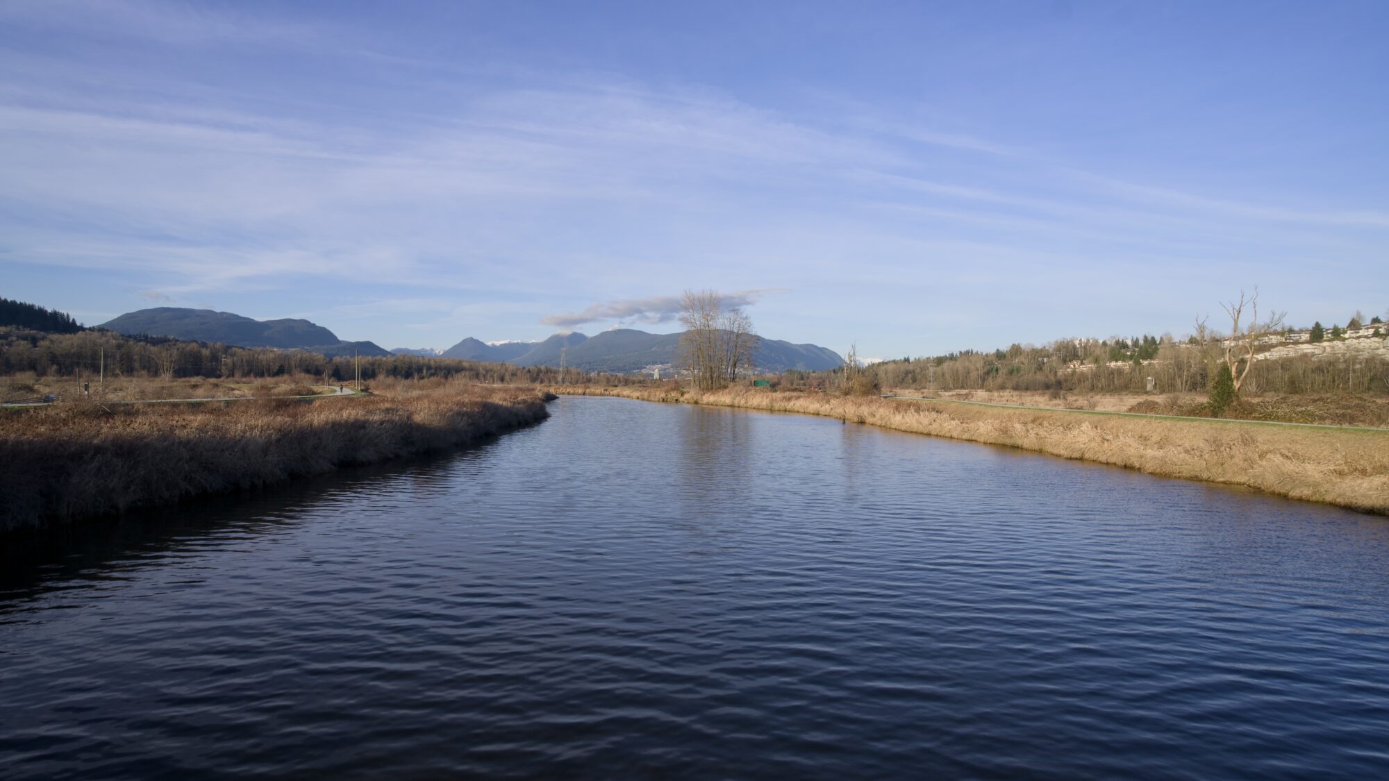 Coquitlam River, light is very golden