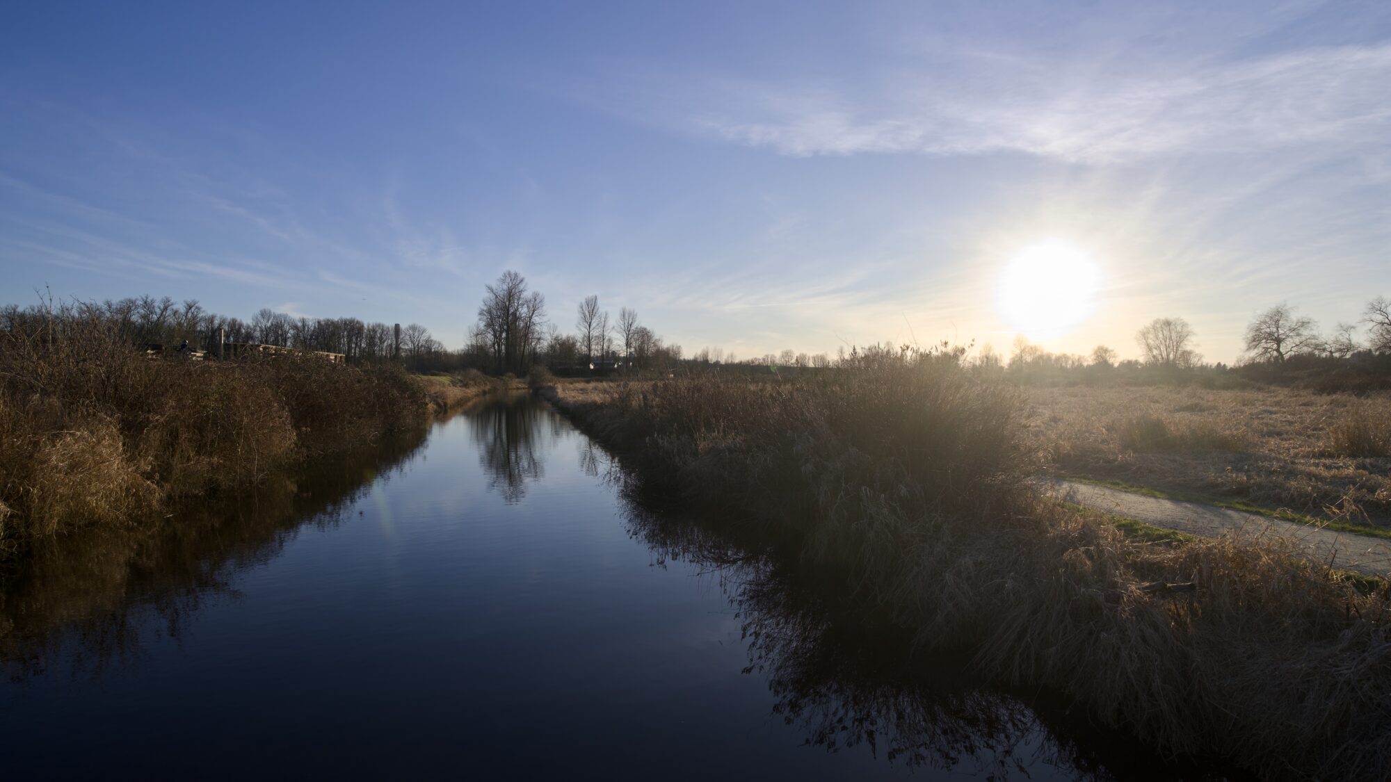 A creek, very still and smooth, with the setting sun to the right